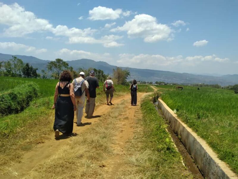 Breathe in Malinos Fresh Air & Explore the Flower City - Malino Highland: Tea and Nature’s Calm