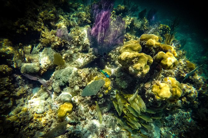 Breathtaking Experience Driving a Speedboat in Cancun With Snorkeling Included - Common Questions