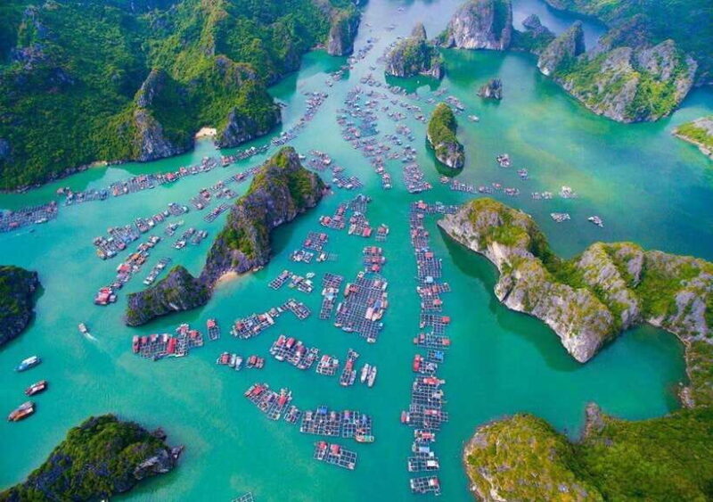 Breathtaking Lan Ha Bay Sunset Tours 2025 from Cat Ba Island - The Sum Up