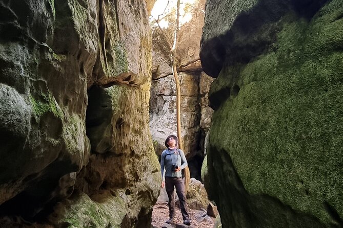 Breathtaking Table Mountain Guided Hike - Off the Beaten Track! - Reviews