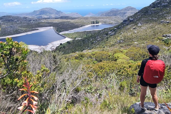 Breathtaking Table Mountain Guided Hike - Off the Beaten Track! - The Sum Up