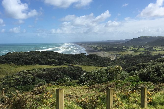 Breathtaking West Coast, Rainforest, Beach and Boobies - German Private Tour - Tour Highlights