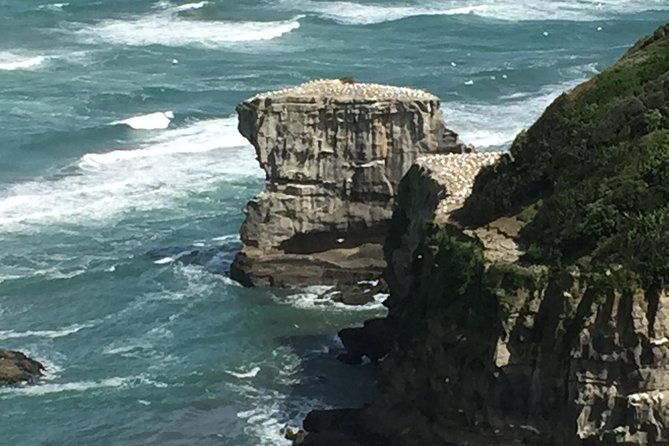 Breathtaking West Coast, Rainforest, Beach and Boobies - German Private Tour - Itinerary Overview