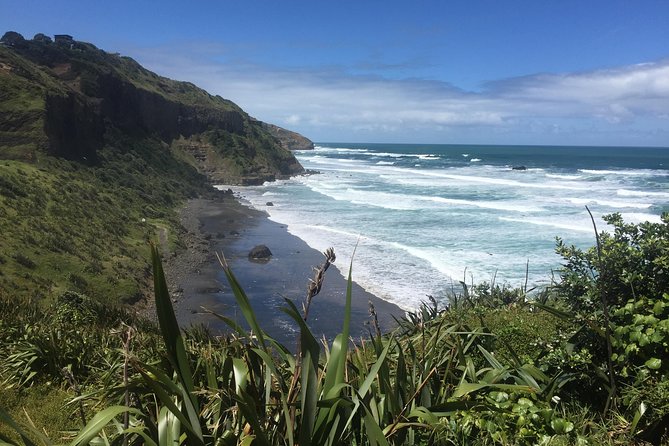 Breathtaking West Coast, Rainforest, Beach and Boobies - German Private Tour - Beach Activities