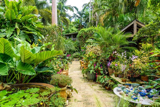 Breathtaking Wonders - Harrisons Cave and Huntes Gardens - Botanical Delights at Huntes Gardens