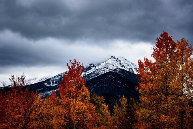 Breckenridge Mountain Explorer - Positive Feedback About the Guides