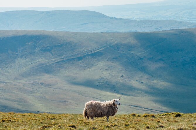 Brecon Beacons Tour App, Hidden Gems Game and Big Britain Quiz (7 Day Pass) UK - Tour Overview