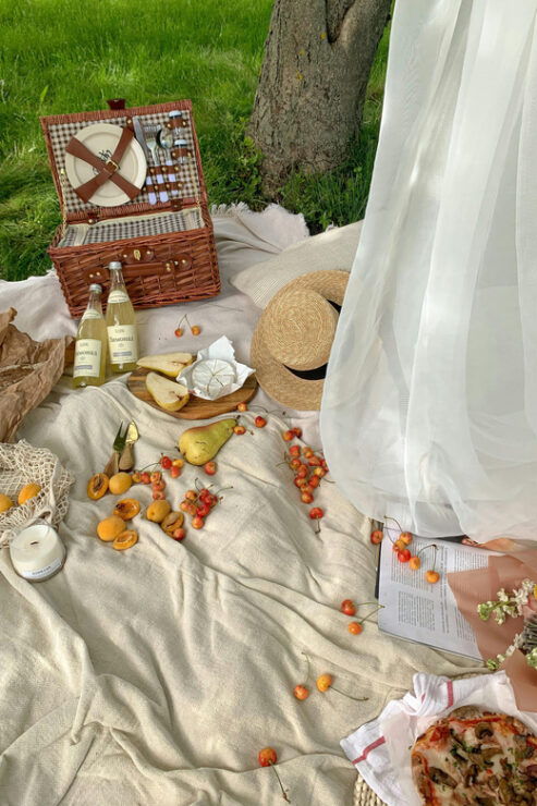 Bregenz: Motorboat & Picknick Tour - Youll Love - Good To Know
