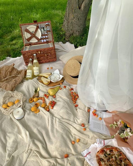 Bregenz: Motorboat & Picknick Tour - Youll Love - Booking Information