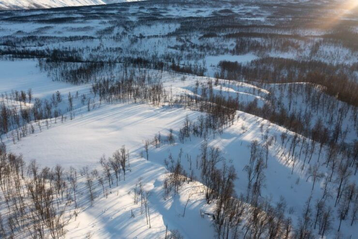 Breivikeidet: Introduction to Cross-Country Skiing - What Is Cross-Country Skiing?