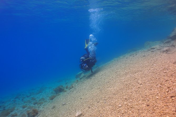 BRELA Bikini Dive *Try SCUBA DIVING* - Directions