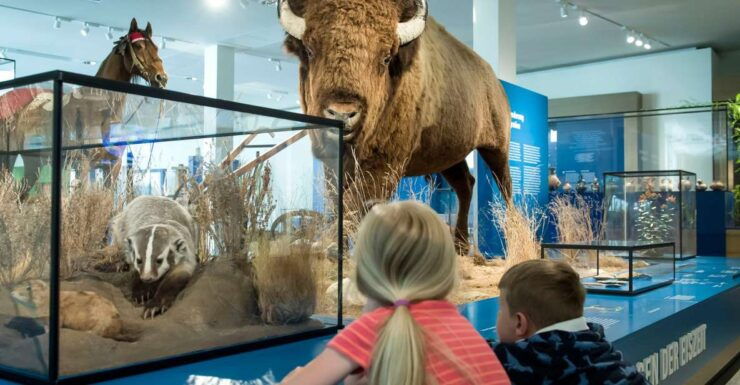 Bremen: Overseas Museum Entrance Ticket - Experience Highlights