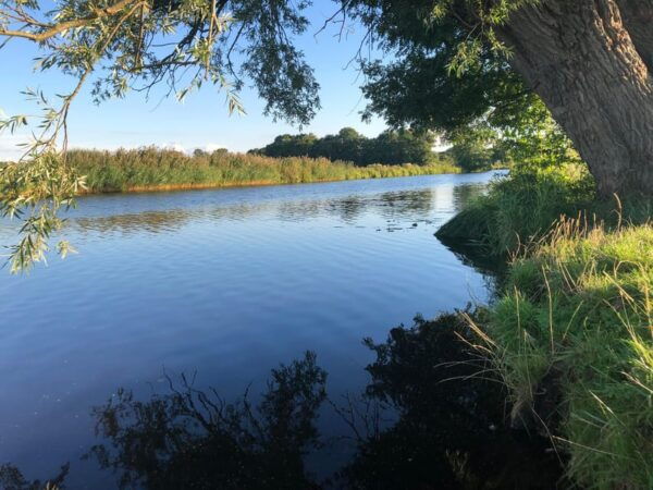 Bremen Tour: Full-Day Canoe Rental on the Wümme River - What to Bring