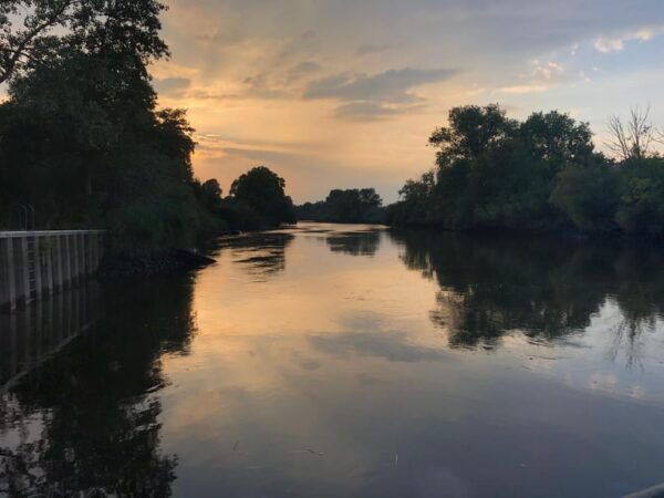 Bremen Tour: Full-Day Canoe Rental on the Wümme River - Customer Feedback