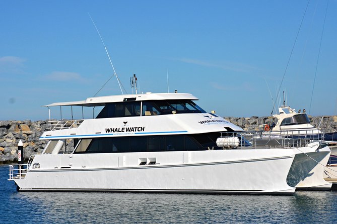 Bremer Bay Orca Experience - Traveler Reviews and Ratings