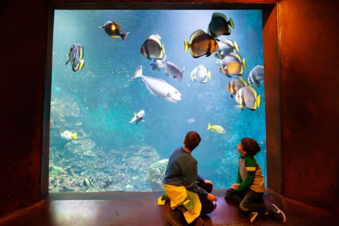 Bremerhaven: Admission Ticket to Klimahaus Bremerhaven - Additional Information