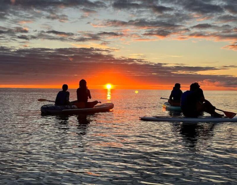 Brentwood Bay: Bioluminescence & Sunset Paddleboard Tour - Discover the Glow of Brentwood Bay: Bioluminescence & Sunset Paddleboard Tour