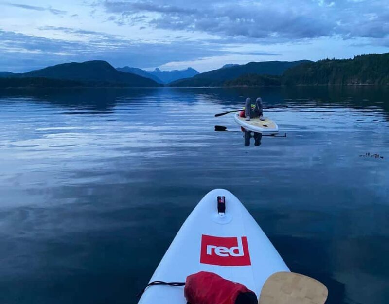 Brentwood Bay: Bioluminescence & Sunset Paddleboard Tour - An In-Depth Look at the Experience