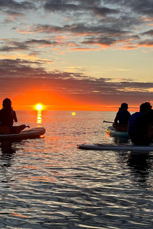 Brentwood Bay: Bioluminescence & Sunset Paddleboard Tour - Analyzing the Value