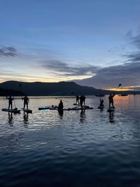 Brentwood Bay: Bioluminescence Tour - Booking Details