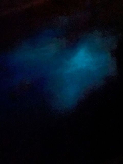 Brentwood Bay: Bioluminescence Tour - Experience Highlights