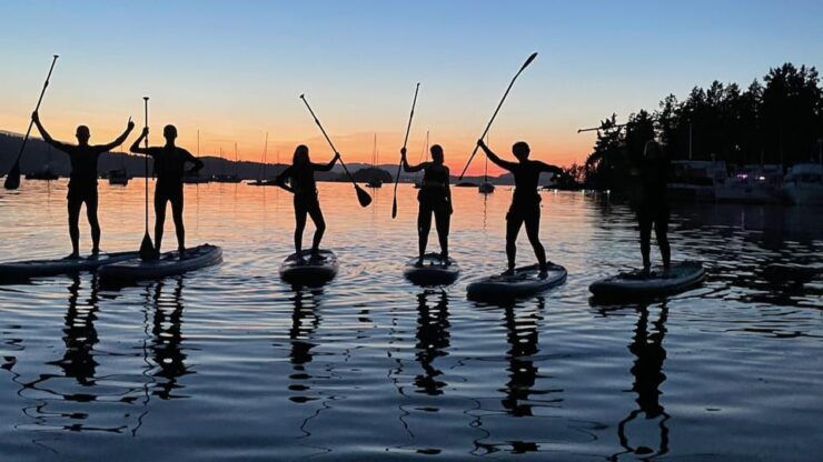 Brentwood Bay: Stand-up Paddleboard Bioluminescence Tour - Good To Know