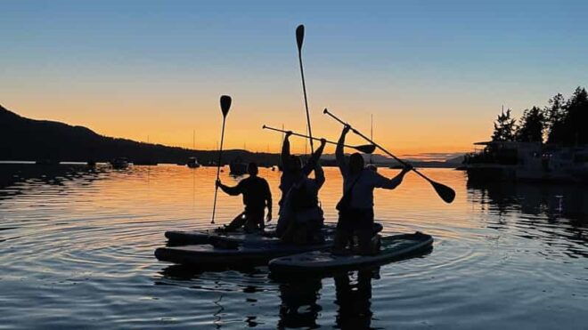 Brentwood Bay: Stand-up Paddleboard Bioluminescence Tour - Itinerary