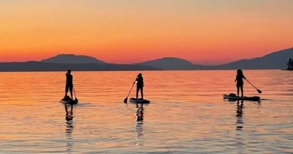 Brentwood Bay: Stand-up Paddleboard Bioluminescence Tour - Tour Location and Access