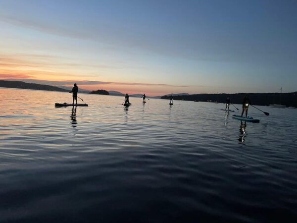 Brentwood Bay: Stand-up Paddleboard Bioluminescence Tour - Safety and Preparation