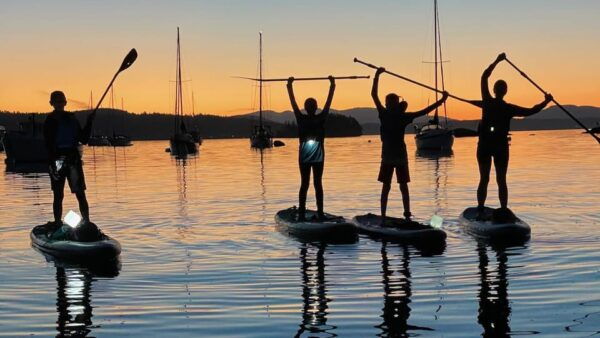 Brentwood Bay: Stand-up Paddleboard Bioluminescence Tour - Booking and Availability
