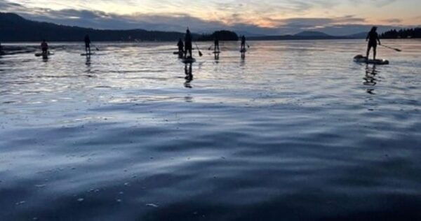 Brentwood Bay: Stand-up Paddleboard Bioluminescence Tour - Frequently Asked Questions