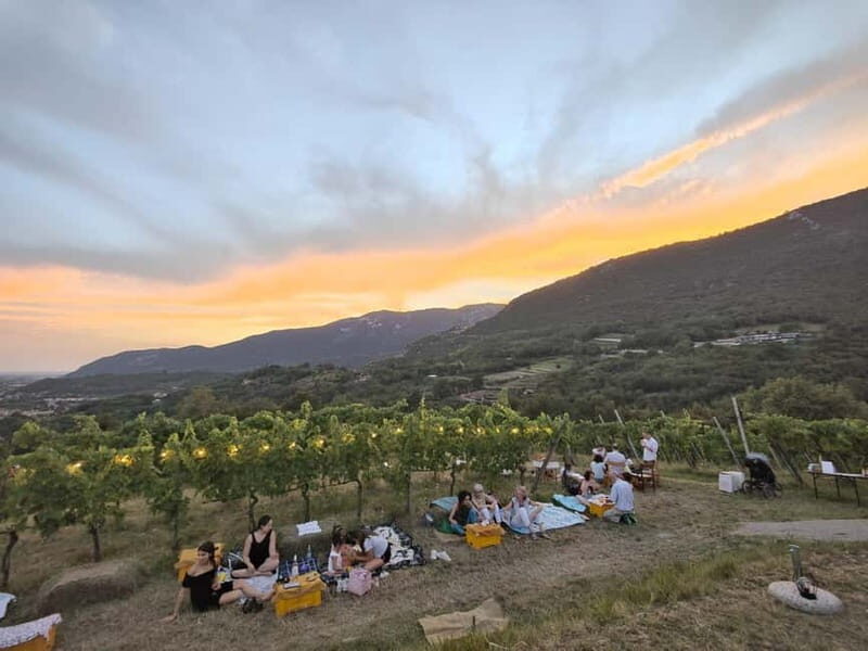 Brescia: Day trip to Botticino, new historical winetasting - Good To Know