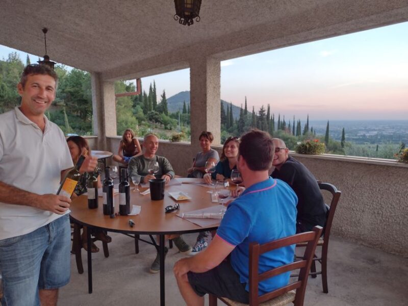 Brescia: day trip to Botticino with wine tasting at Noventa - An In-Depth Look at the Tour