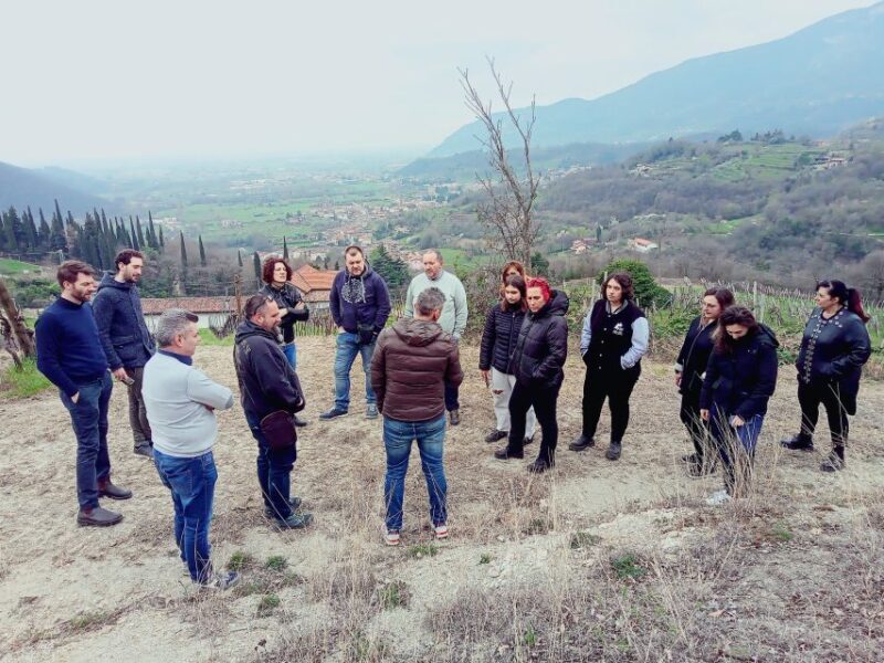 Brescia: day trip to Botticino with wine tasting at Noventa - Final Thoughts