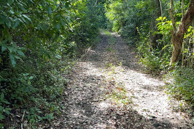 Brewers Bay Eco Hiking Tour - Why This Tour Fits Certain Travelers Best