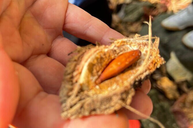 Brewers Bay Eco Hiking Tour - Final Thoughts