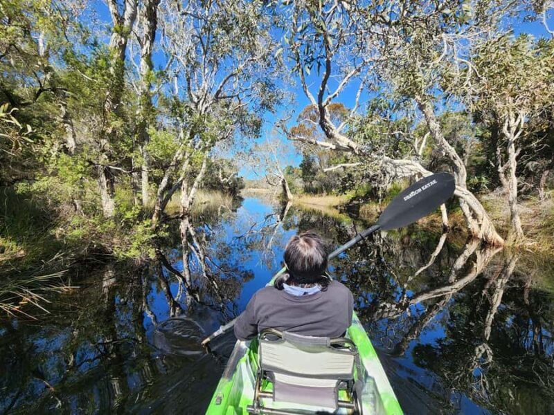 Bribie Island: 4WD, Kayak, and WWII Bunker Tour - Good To Know