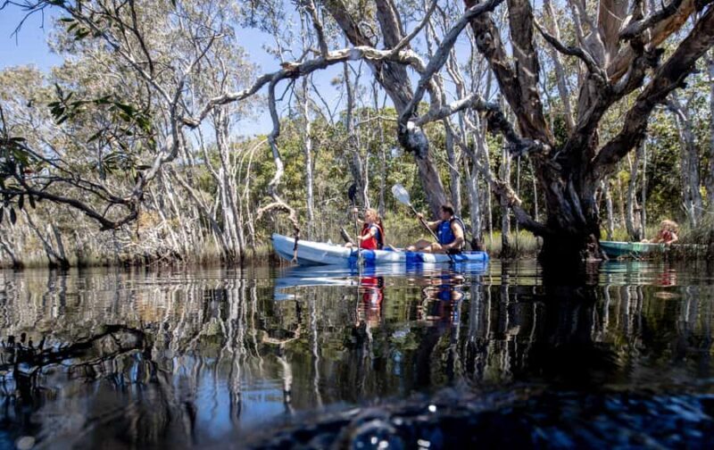 Bribie Island: Sea to Table 4WD, Kayak, & Seafood Lunch Tour - Who Is This Tour Best Suited For?