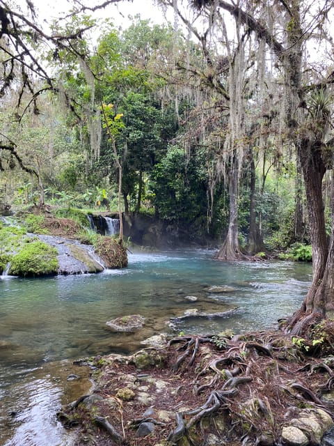 Bridge of God & 7 Tamasopo Waterfalls From San Luis Potosí - Transportation and Inclusions