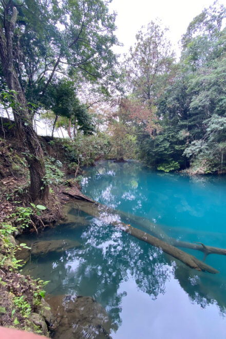 Bridge of God & 7 Tamasopo Waterfalls From San Luis Potosí - Tour Languages