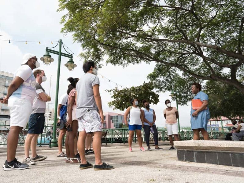 Bridgetown: Historic Guided Walking Tour - Who Will Love This Tour?