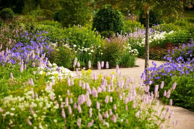 Bridgewater: Royal Horticultural Society Garden Ticket - Full Description