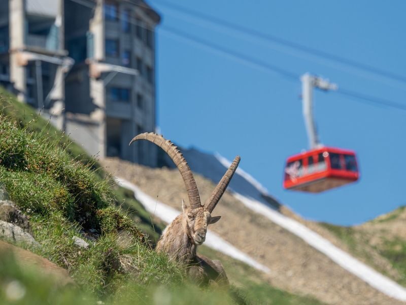 Brienzer Rothorn Cable Car Ticket in Switzerland - The Sörenberg ascent takes less than ten minutes