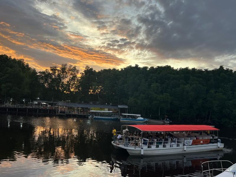Brighton Bay Kota Kinabalu Firefly Sunset River Cruise - Fireflies after nightfall