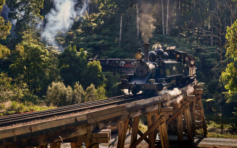 Brighton Beach and Puffing Billy Half-Day Bus Tour in Melbourne - Brighton Beach and Puffing Billy in one half-day