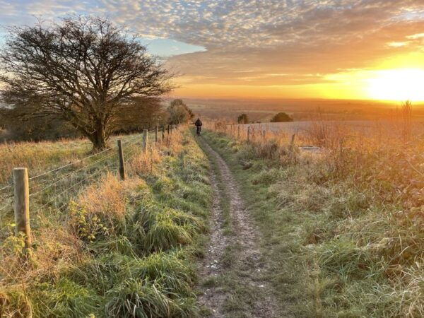 Brighton: Electric Mountain Bike Rental - The Sum Up
