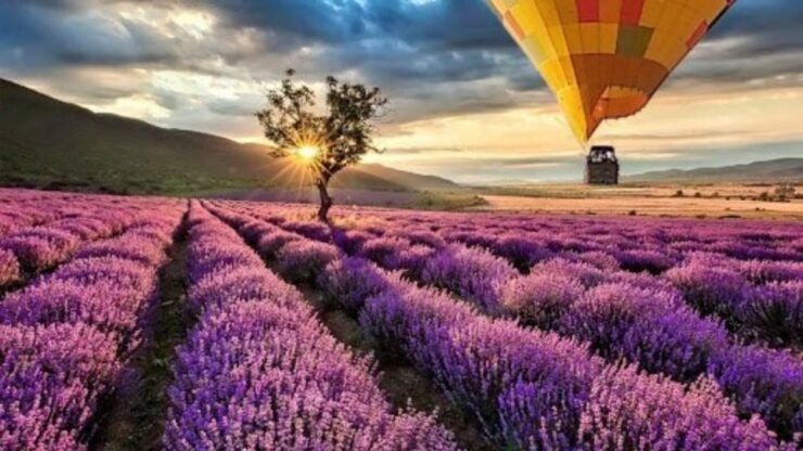 Brihuega: Balloon Flight Above Lavender Fields - Good To Know