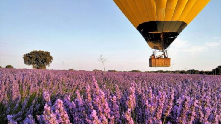 Brihuega: Balloon Flight Above Lavender Fields - Availability and Booking