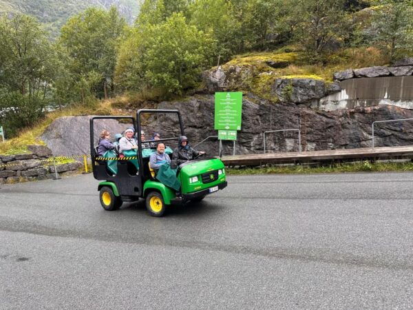 Briksdal Glacier and Loen Skylift Tour With Transfer - Customer Reviews