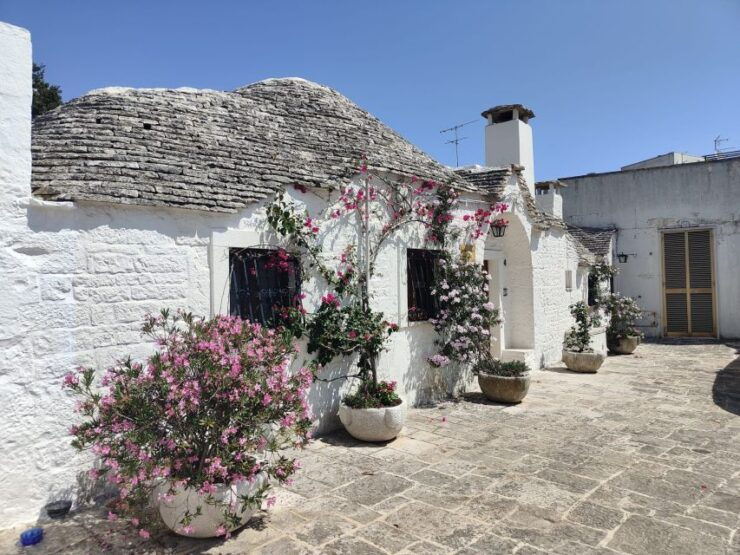 Brindisi: Alberobello, Locorotondo Ostuni Tour With Tasting - Alberobello Trulli Experience